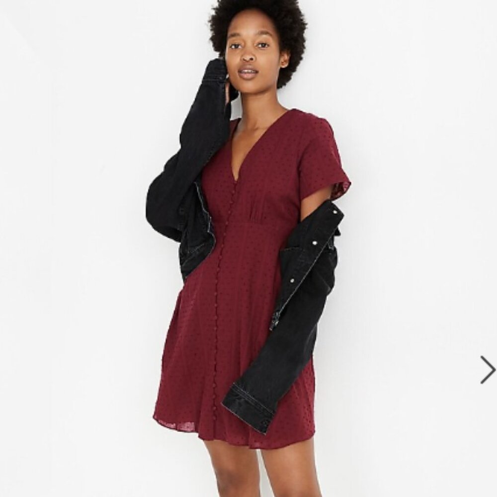 Madewell Button-Front Swing Dress in Swiss Dot, Size 2